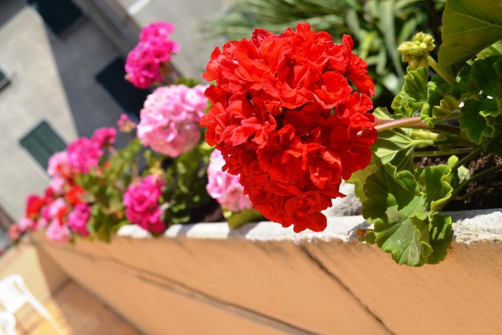 Hotel Marligure Bordighera Exterior foto